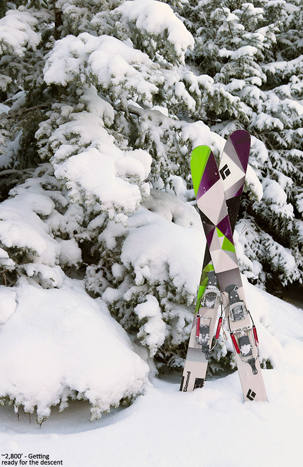 An image of fat Telemark skis in snow at Bolton Valley Resort in Vermont