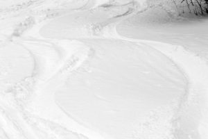 An image of ski tracks in powder snow at Bolton Valley Resort in Vermont