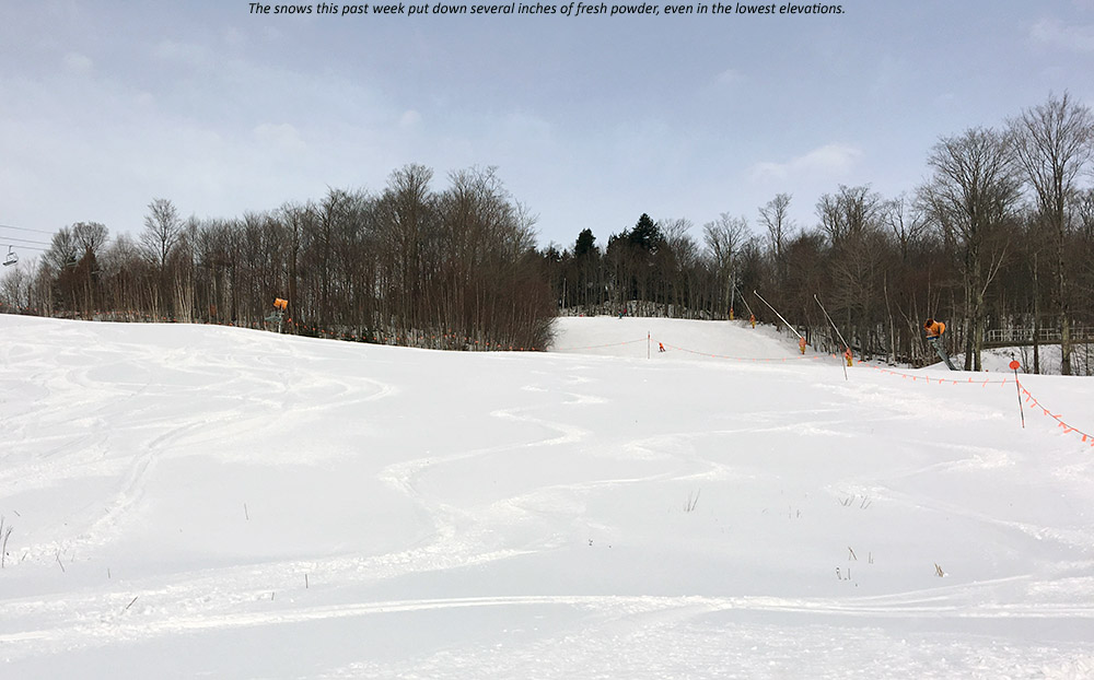 An image showing ski tracks in powder snow in the Meadows area of Spruce Peak at Stowe Mountain Resort in Vermont