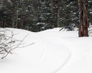 An image of a ski track in powder snow in the backcountry at Bolton Valley Ski Resort in Vermont