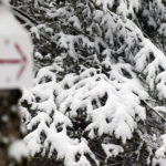 A direction arrow and snowy evergreens on the backcountry network at Bolton Valley Resort in Vermont