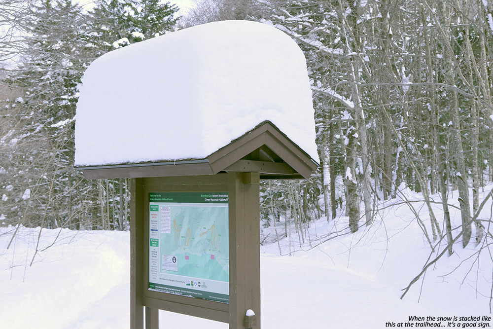 An image of the map at the Bear Brook Bowl trailhead at the Brandon Gap Backcountry Recreation Area in Vermont