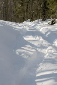An image of ski turns in powder snow along the Woodward Mountain Trail in the backcountry near Bolton Valley Resort in Vermont