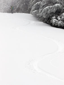 An image of ski tracks in fresh powder on the Alta Vista trail at Bolton Valley Ski Resort in Vermont