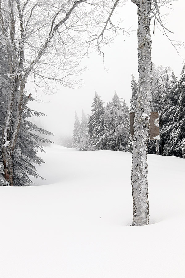 An image looking up the Alta Vista trail at Bolton Valley Resort in Vermont with a fresh coating of April powder