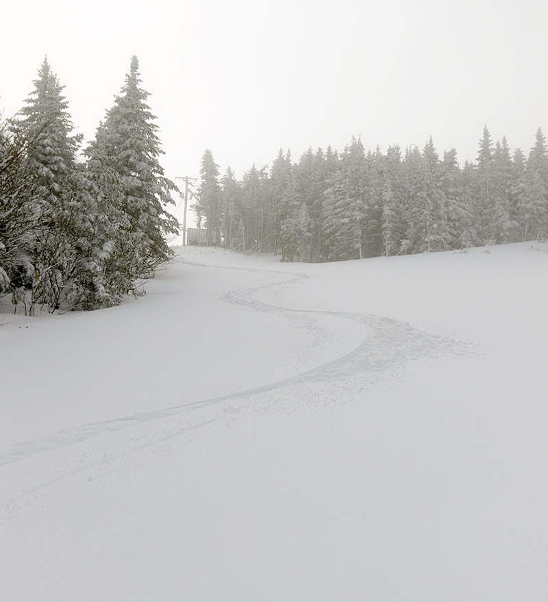 An image of ski tracks in fresh snow on the Spillway Lane trail at Bolton Valley Ski Resort in Vermont after a late April snowstorm