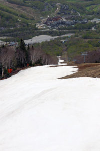 An image of leftover spring snow on the Liftline Trail at Stowe Mountain Resort in Vermont on a ski tour in May