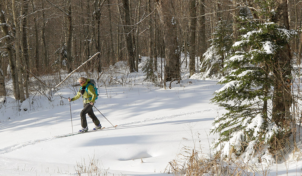 An image of Erica skinning up on a November ski tour at Bolton Valley Ski Resort in Vermont