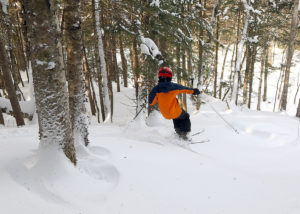 An image of Dylan skiing powder in the trees at Bolton Valley Resort in Vermont