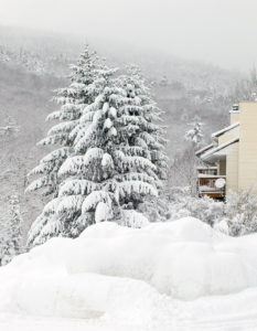 An image of snowplow piles and snowy trees during Winter Storm Bruce at Bolton Valley Ski Resort in Vermont