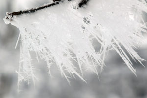 An image of hoarfrost coating a branch at Bolton Valley Ski Resort in Vermont