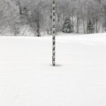 An image showing the depth of powder found on the Peggy Dow's trail at Bolton Valley Ski Resort in Vermont after a mid-December upslope snowstorm
