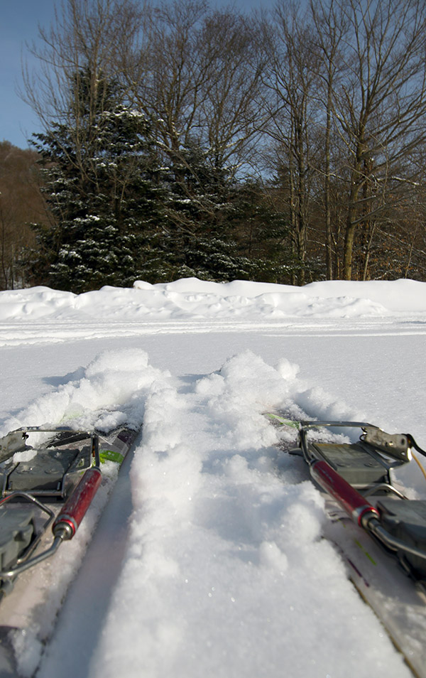 An image of fat Telemark skis in a couple inches of powder in one of the Nordic Center parking lots at Bolton Valley Ski Resort in Vermont
