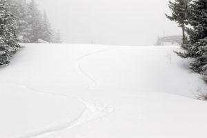 An image showing a ski track in powder on the Villager Trail at Bolton Valley Ski Resort in Vermont