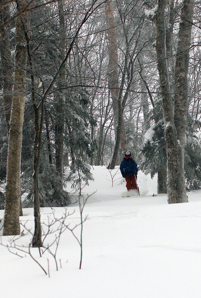 An iamge of Ty skiing powder in the Bonus Woods at Bolton Valley Ski Resort in Vermont