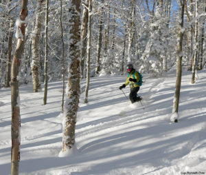 An image of Erica skiing the Cup Runneth Over glade on the backcountry network at Bolton Valley Resort in Vermont