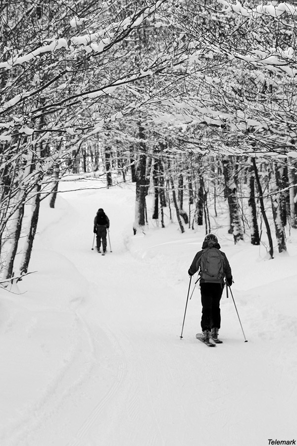An image of Erica and Ty ski touring on the Telemark trail on the backcountry network at Bolton Valley Ski Resort in Vermont