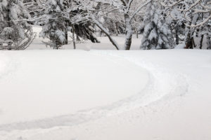 An image of ski tracks in powder snow in a glade off the Heavenly Highway trail on the backcountry network at Bolton Valley Resort in Vermont