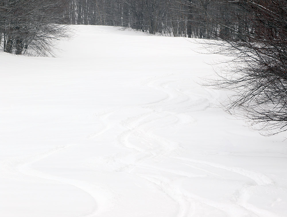 An image of the spell Binder trail with ski tracks in powder at Bolton Valley Resort in Vermont