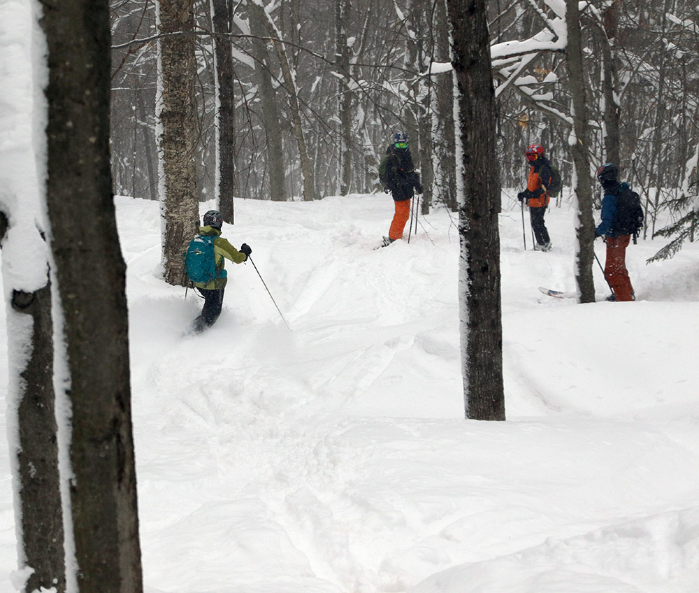 An image showing Erica, Ivan, Dy;an, and Ty skiing powder in one of the great backcountry glades created by the Rochester/Randolph Area Sport Trail Alliance at Brandon Gap in Vermont