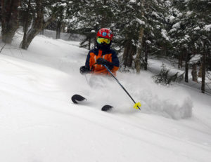 An image of Dylan skiing powder in the Villager Trees area of Bolton Valley Resort in Vermont