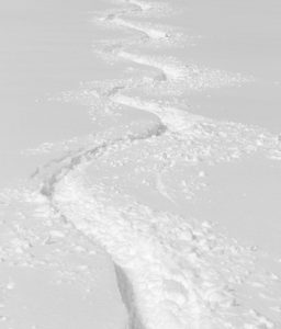 An image of ski tracks in powder snow beneath the Gondola from Winter Storm Taylor at Stowe Mountain Resort in Vermont