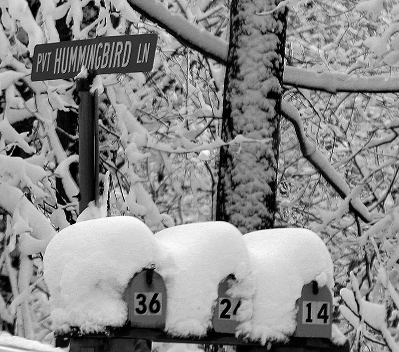 An image of mailboxes near Bolton Valley Ski Resort in Vermont covered in spring snow after a big spring snowstorm hit the area