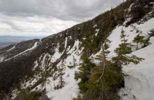 A view of the Rock Garden area near the treeline on Mt. Mansfield above Stowe Mountain Ski Resort in Vermont