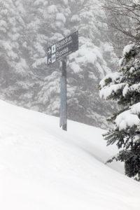 An image of some ski trails signs in the Nosedive area with fresh snow during a May ski tour at Stowe Mountain Resort in Vermont