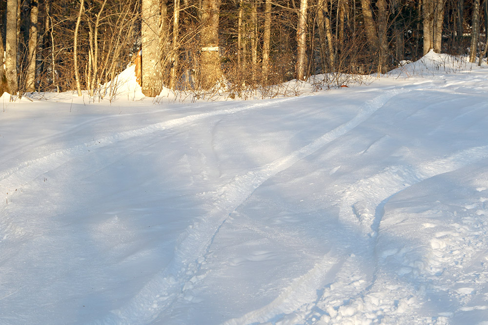 An image of ski tracks in some November powder at Bolton Valley Ski Resort in Vermont