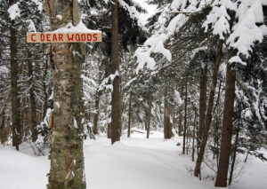 An image of the C Bear Woods area sign on the backcountry network at Bolton Valley Ski Resort in Vermont