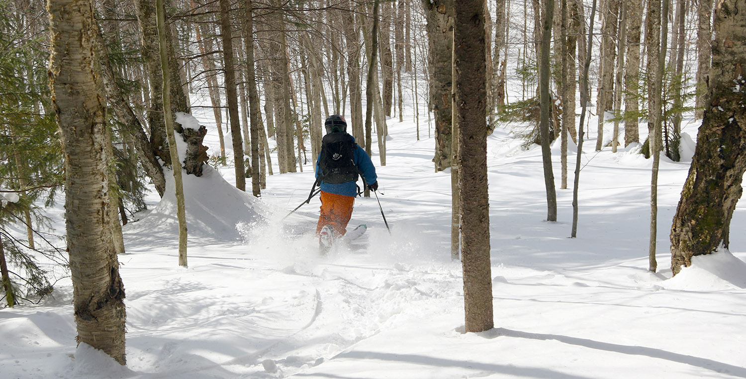 An image of Ty powder skiing though a glade on Backcountry Trail Network at Bolton Valley Ski Resort in Vermont