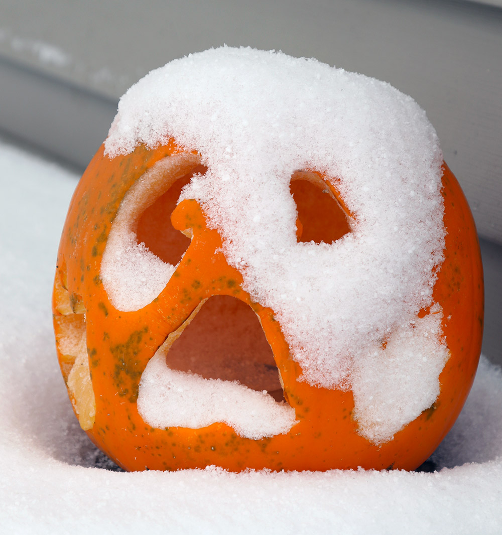 An image of snow on a Jack-o'-lantern from an early November snowstorm in Waterbury, Vermont