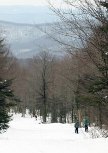 An image of some skiers ascending the skin track on the Turnpike trail at Bolton Valley Ski Resort in Vermont