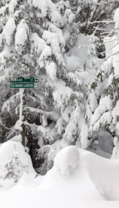 An image of snowy evergreens and ski trail signs at the Timberline Summit area at Bolton Valley Ski Resort in Vermont