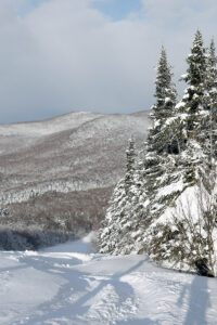 An image of ski tracks on a powder morning after Winter Storm Peggy on the Spell Binder trails at Bolton Valley Ski Resort in Vermont