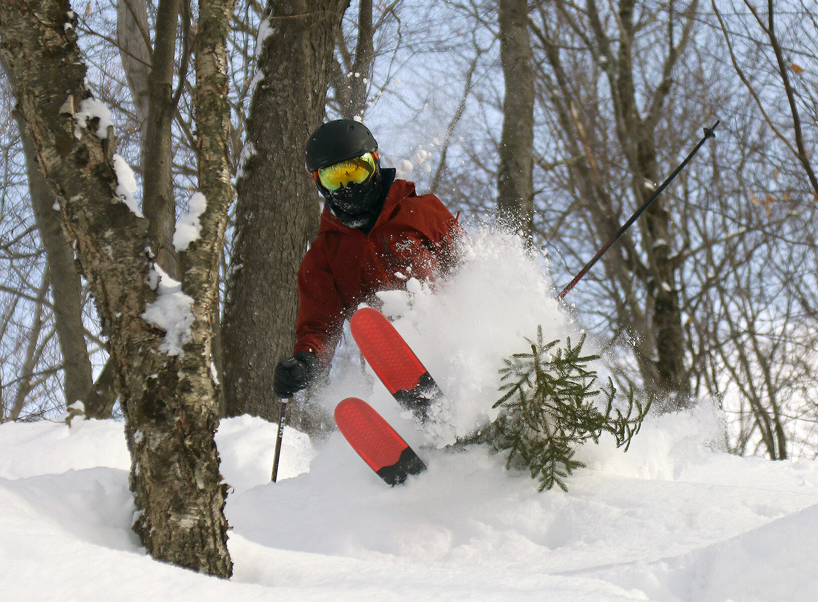 Dylan skiing powder by a small evergreen tree in the Doug's Solitude area of Bolton Valley Resort in Vermont