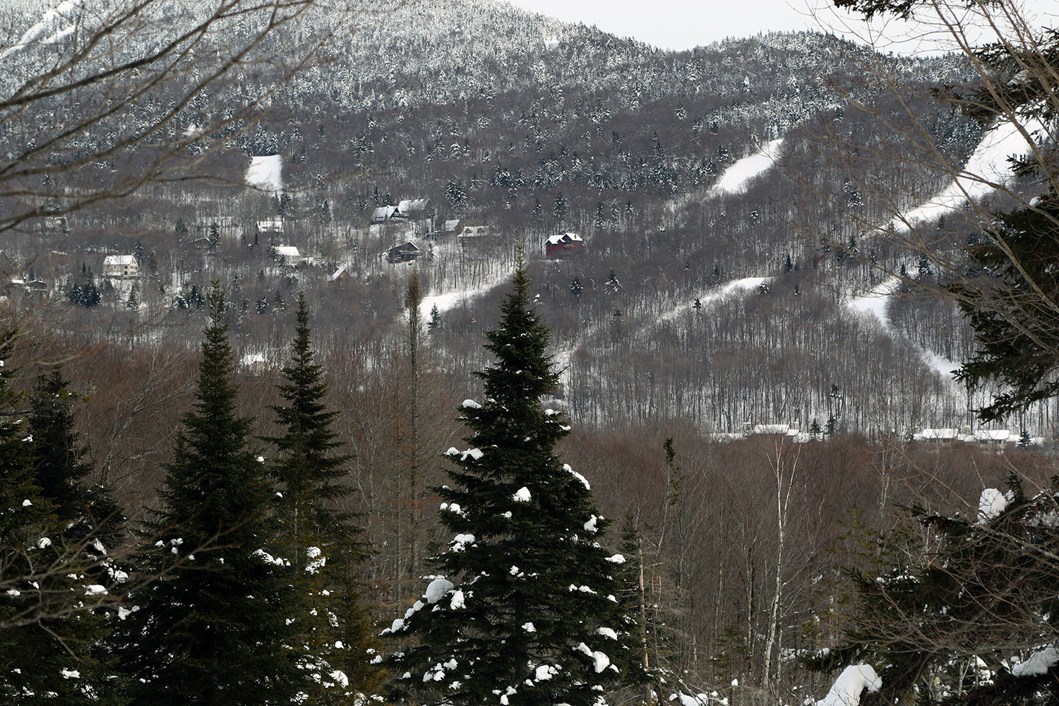 An image looking across from the Moose-Ski trail in the beaver ponds area of the Bolton Valley Nordic & Backcountry Network toward the Bolton Valley Village at Bolton Valley Ski Resort in Vermont