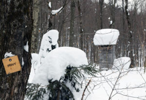 An image showing the privy building by the Buchanan Shelter on the Nordic & Backcountry Network at Bolton Valley Ski Resort in Vermont
