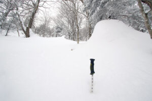 An image of a ski slope in the Jay Peak backcountry of Vermont with a ski measurement pole showing a snow depth of nearly 40 inches