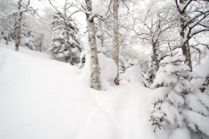 An image of deep powder snow on the steep slopes of Big Jay in the Jay Peak area backcountry of Vermont