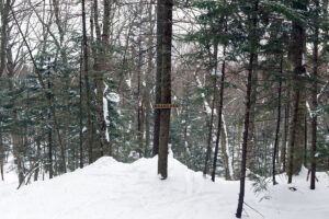 An image snowing the Branches area of the backcountry network at Bolton Valley Ski Resort in Vermont