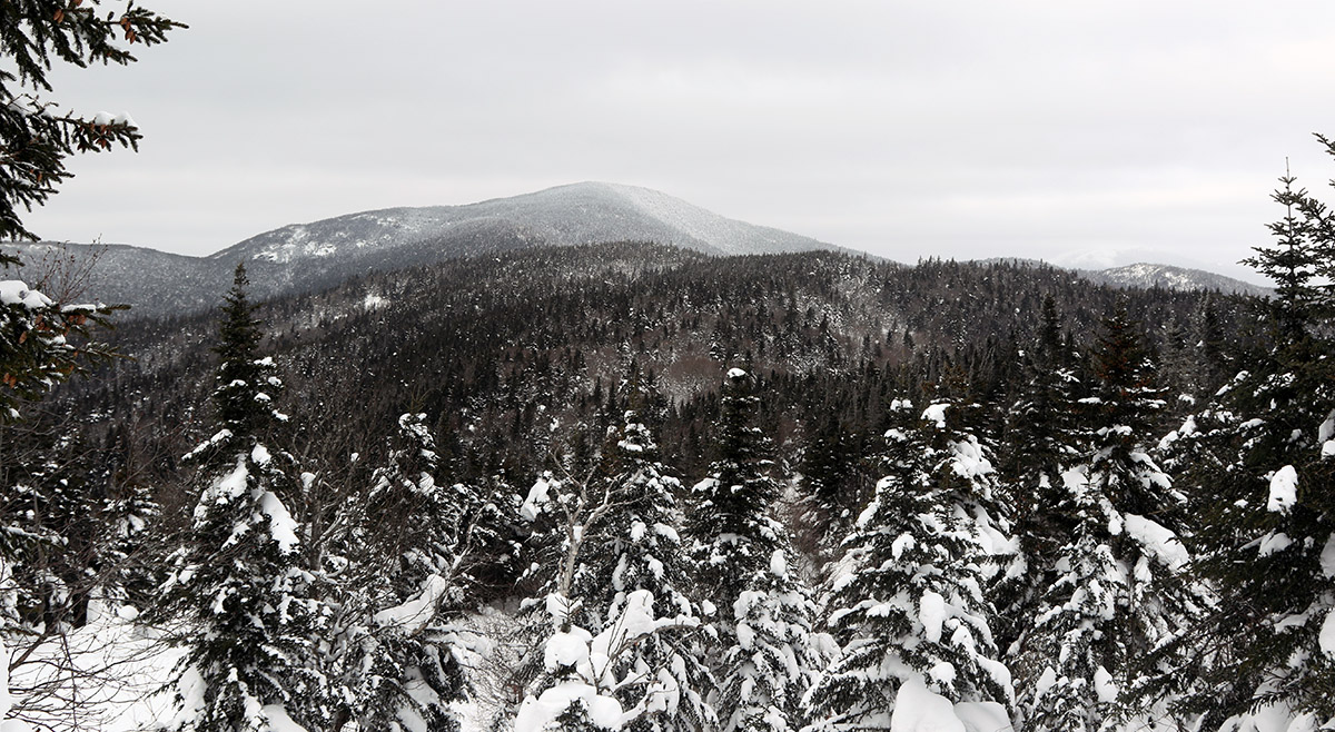 An image showing the view from the Wilderness at Bolton Valley Ski Resort in Vermont