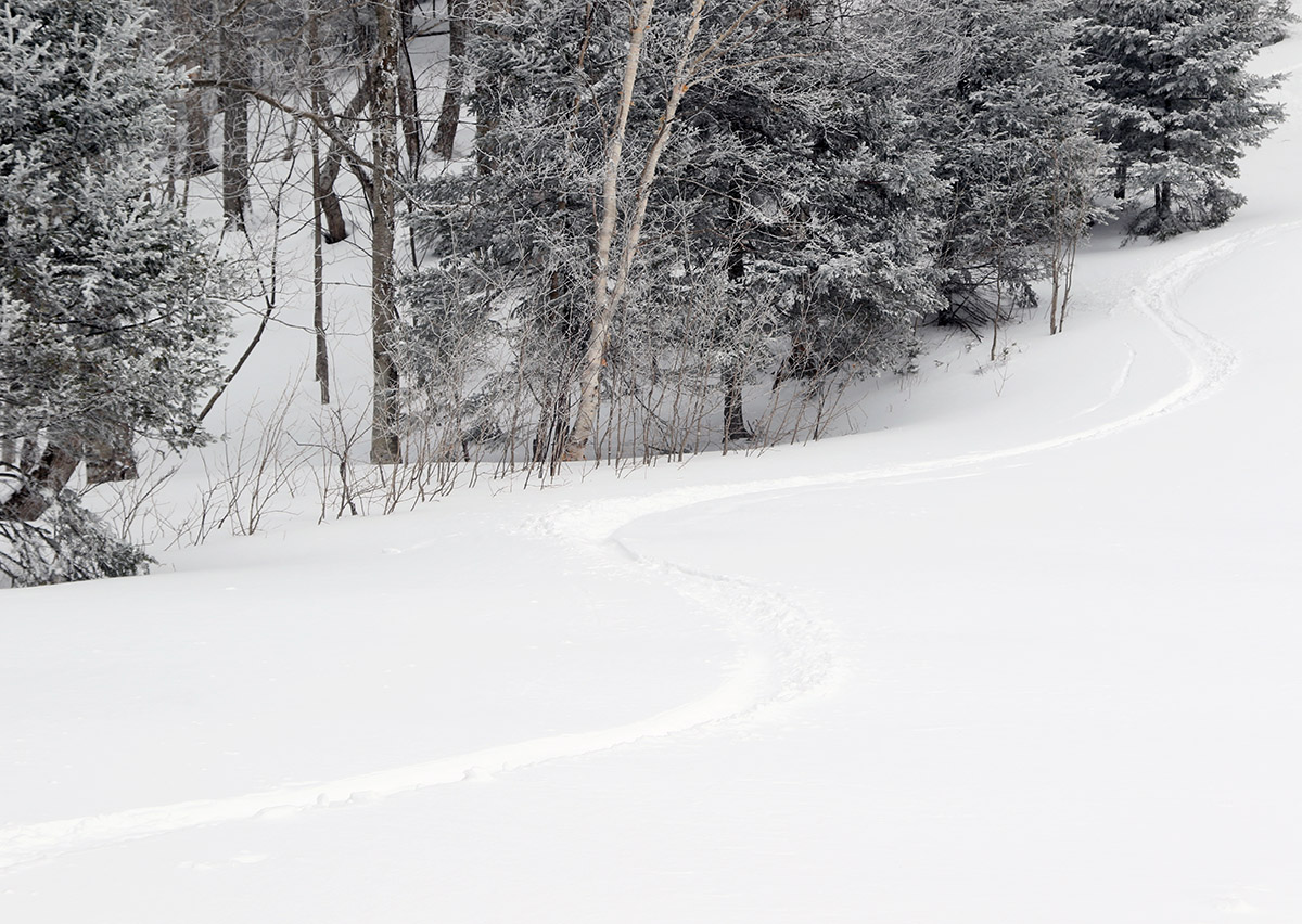 An image of ski tracks in powder snow on the Wilderness Chair Lift Line after a couple of March snowstorms at Bolton Valley Ski Resort in Vermont