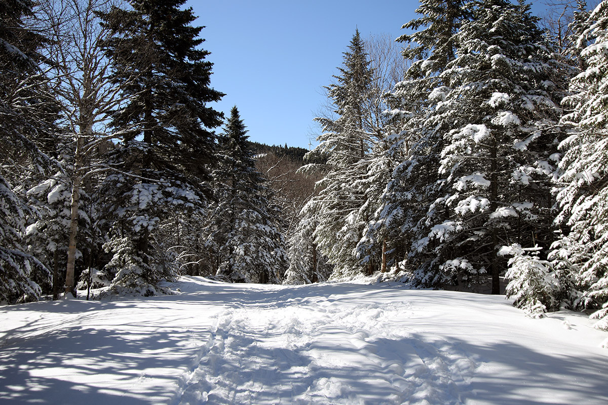 An image of the Vista Peak area of Bolton Valley Resort after an April snowstorm