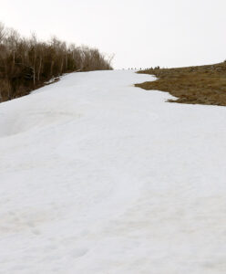 An image of late-season snow left over from snowmaking on the Main Street Trail in the Spruce Peak area of Stowe Mountain Ski Resort