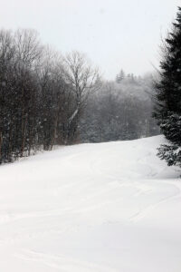 An image of ski tracks in fresh powder from a late March snowstorm on the Cougar Trail at Bolton Valley Ski Resort in Vermont