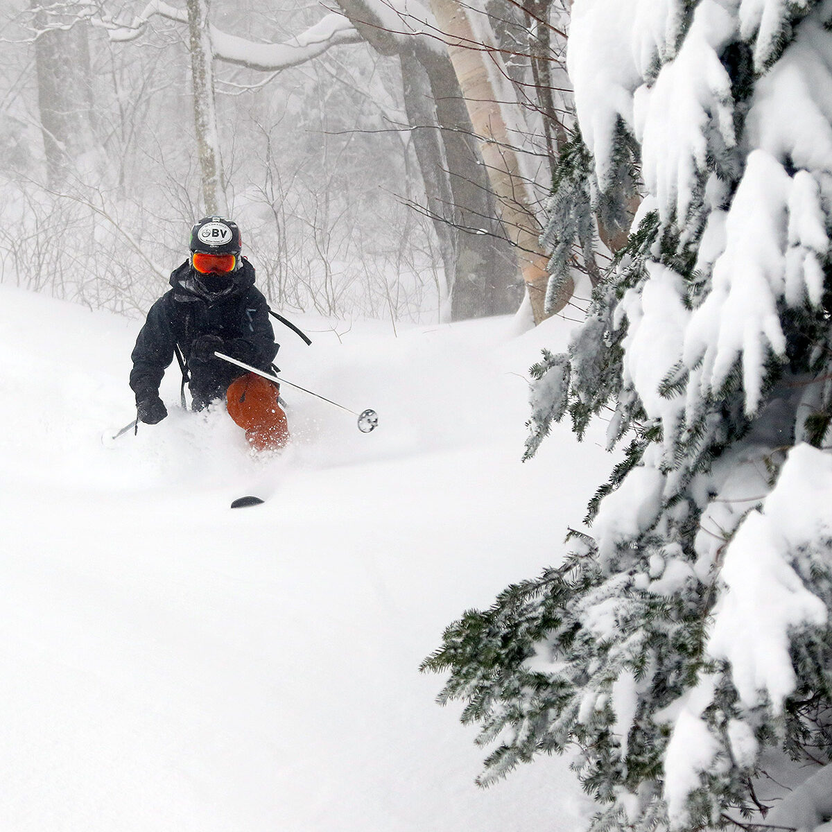 An image of Ty skiing fresh powder on from Winter Storm Diaz on the Bolton Outlaw Trail at Bolton Valley Ski Resort in Vermont