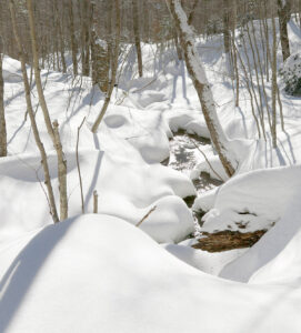 An image of a stream with fresh snow during a ski tour in the Big Jay Basin area of Vermont