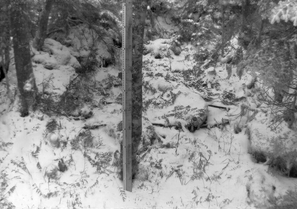 An image from the famed snow stake on Mt. Mansfield in Vermont showing some of the first accumulating snow of the 2023-2024 winter season.